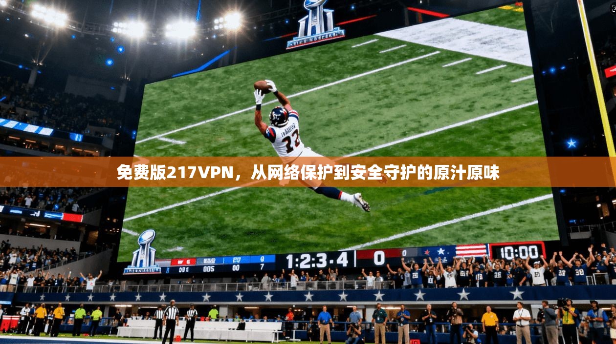免费版217VPN，从网络保护到安全守护的原汁原味