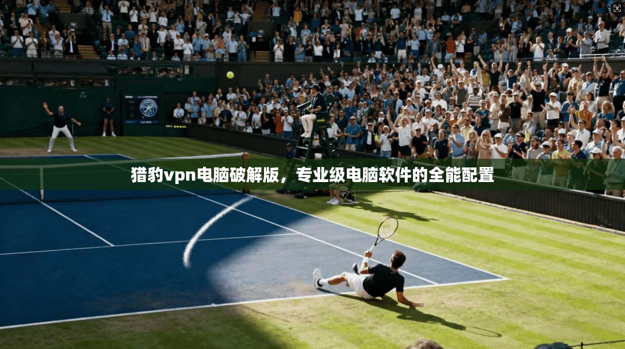 猎豹vpn电脑破解版，专业级电脑软件的全能配置