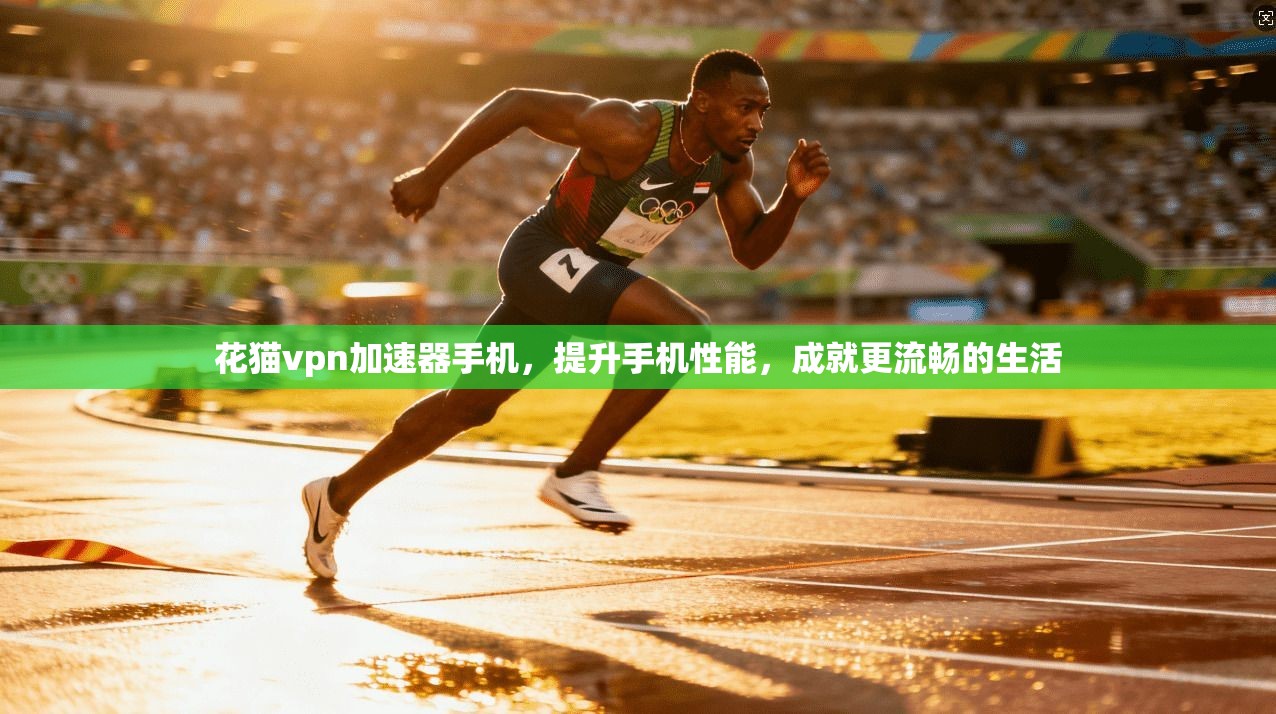 花猫vpn加速器手机，提升手机性能，成就更流畅的生活