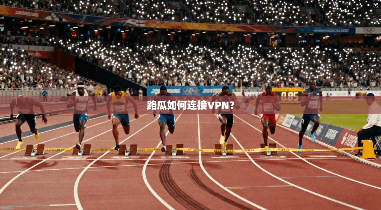 路瓜如何连接VPN?