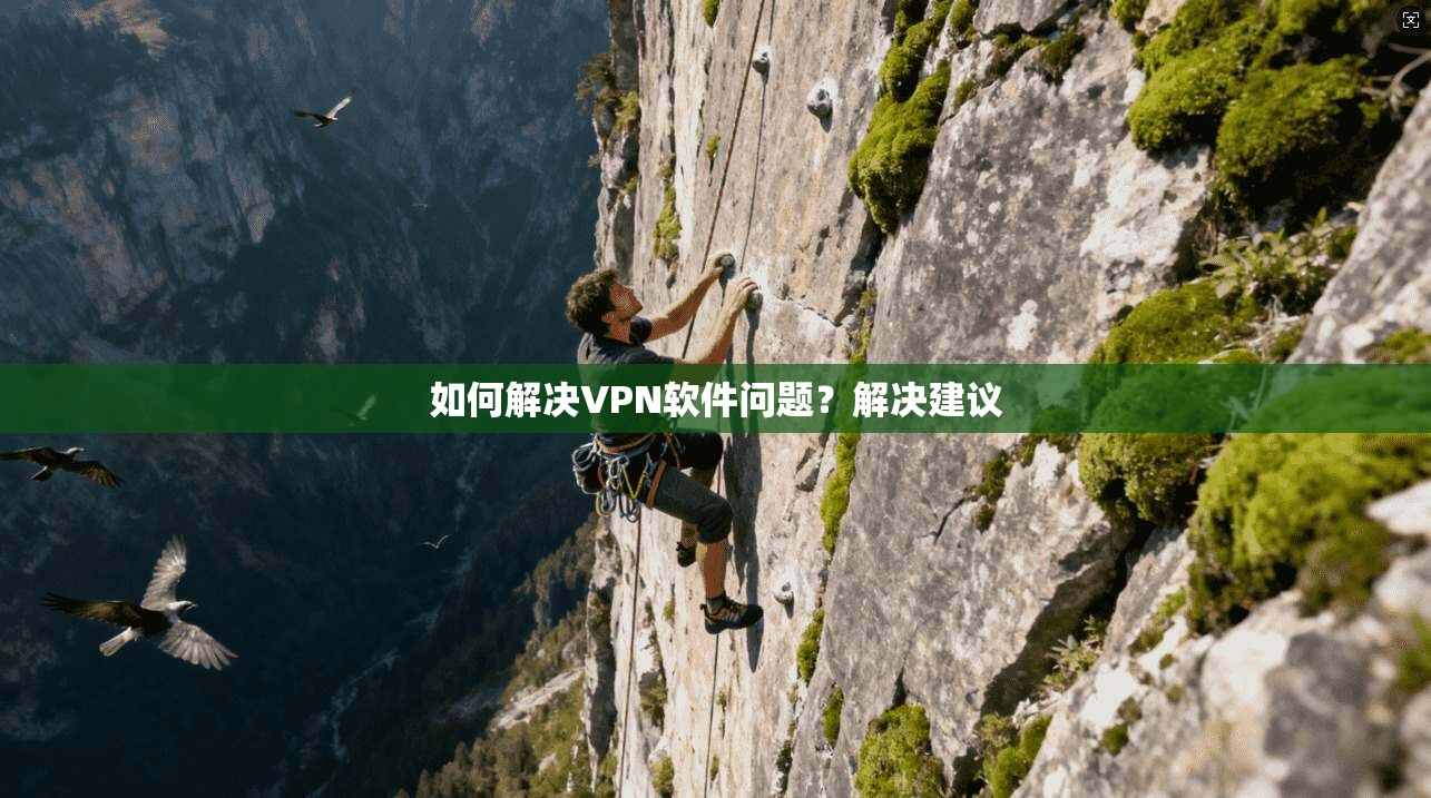 如何解决VPN软件问题？解决建议