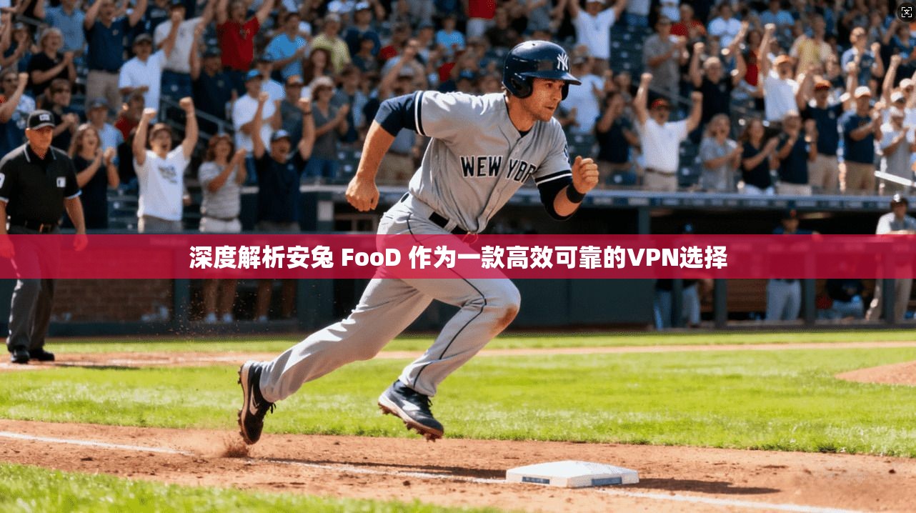 深度解析安兔 FooD 作为一款高效可靠的VPN选择