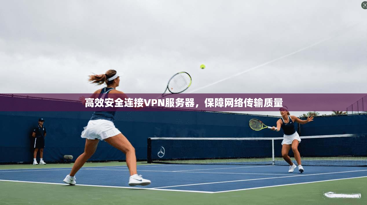 高效安全连接VPN服务器,保障网络传输质量