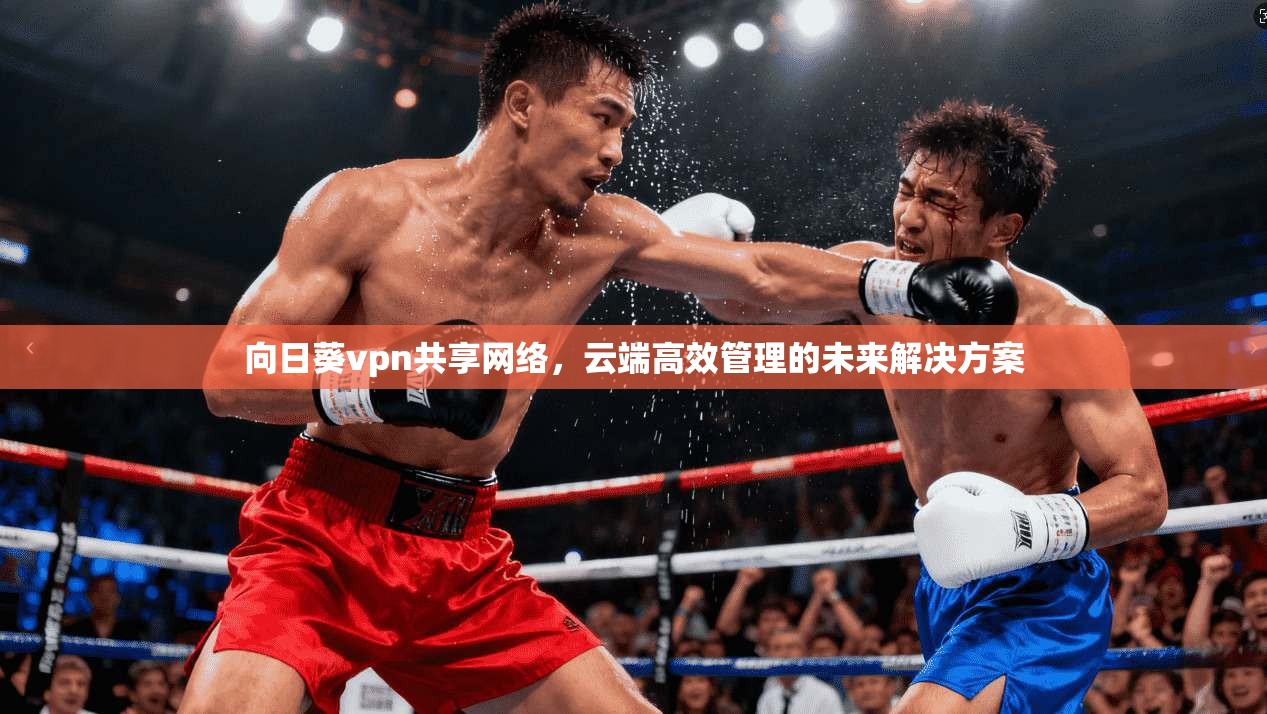 向日葵vpn共享网络，云端高效管理的未来解决方案