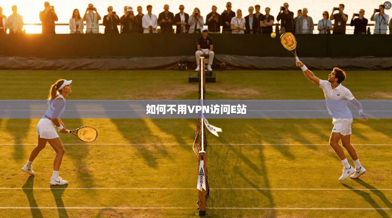 如何不用VPN访问E站