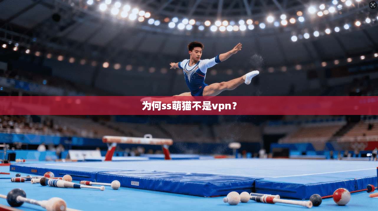 为何ss萌猫不是vpn?