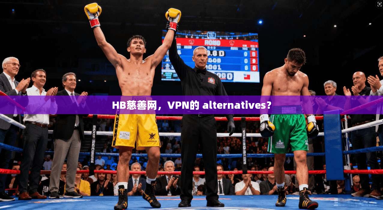 HB慈善网，VPN的 alternatives？