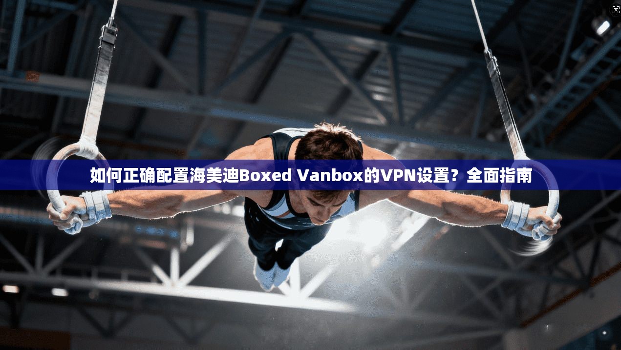 如何正确配置海美迪Boxed Vanbox的VPN设置？全面指南