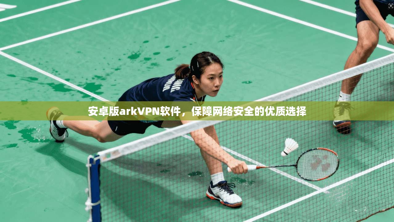 安卓版arkVPN软件,保障网络安全的优质选择