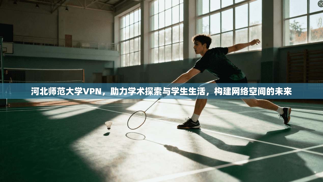 河北师范大学VPN,助力学术探索与学生生活,构建网络空间的未来