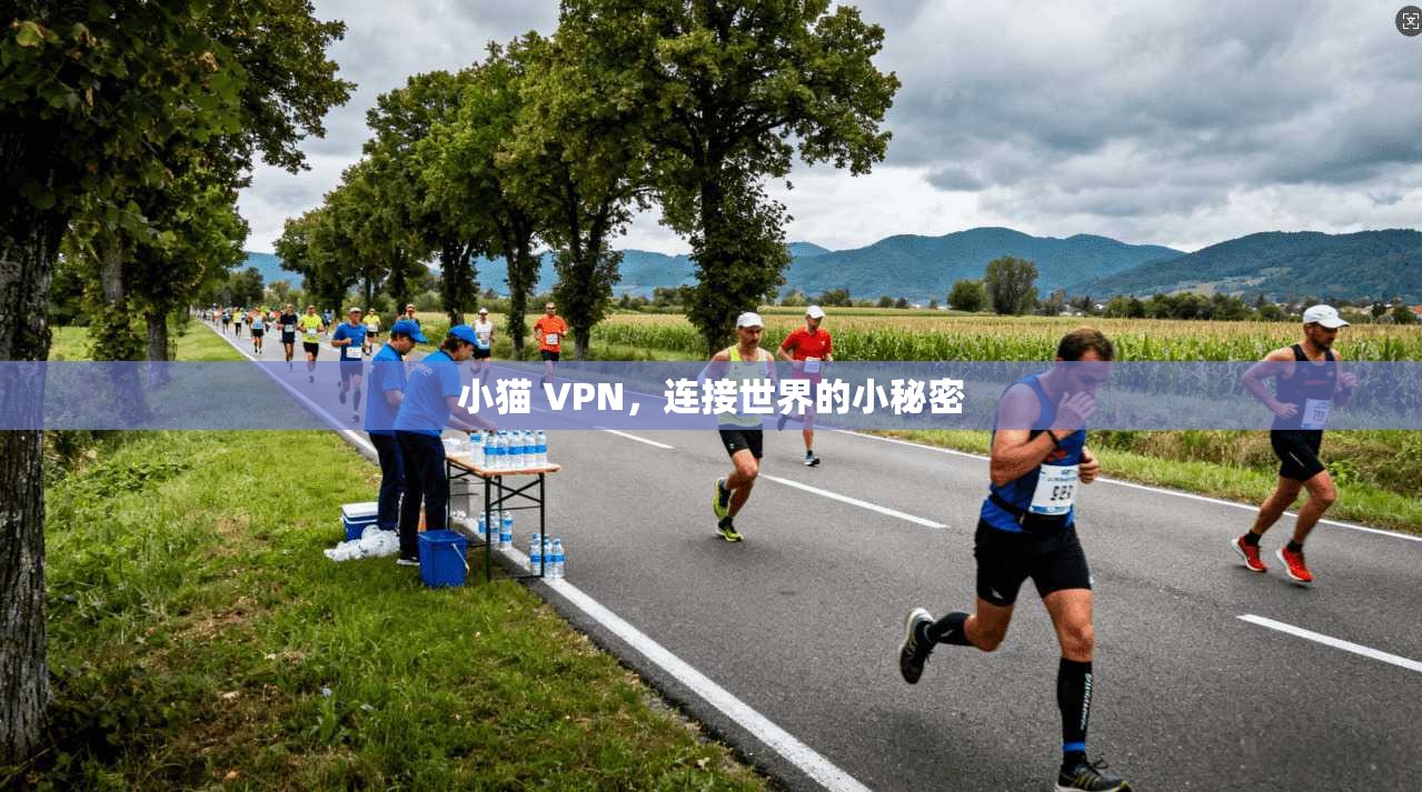 小猫 VPN，连接世界的小秘密