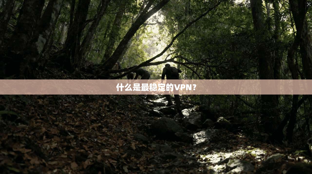 什么是最稳定的VPN？