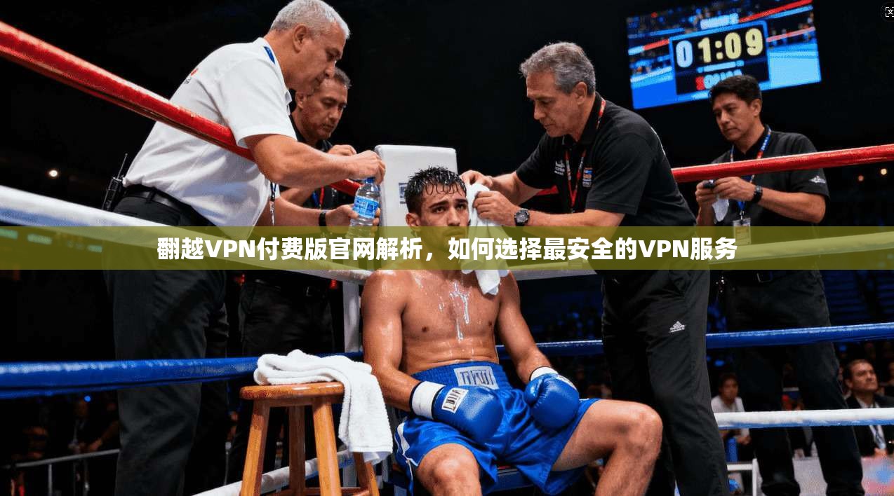 翻越VPN付费版官网解析,如何选择最安全的VPN服务
