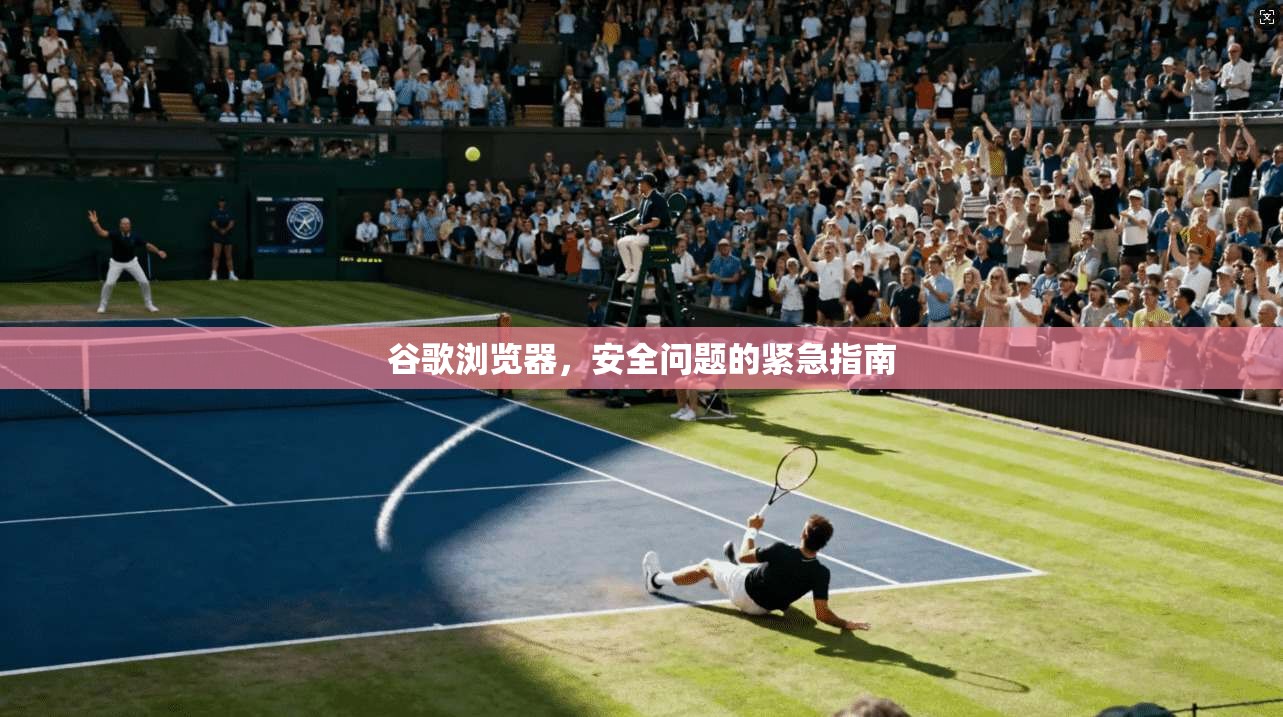 谷歌浏览器,安全问题的紧急指南