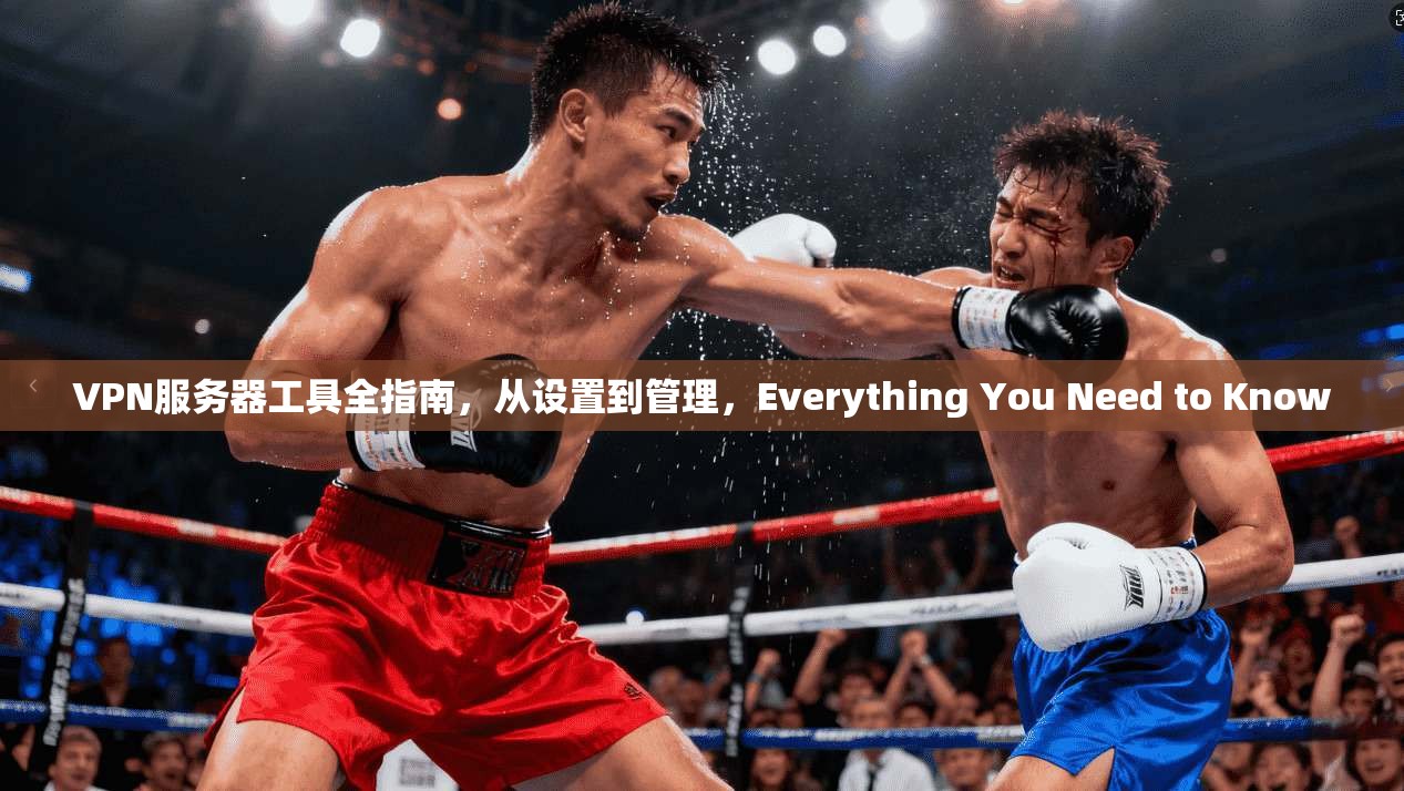 VPN服务器工具全指南，从设置到管理，Everything You Need to Know