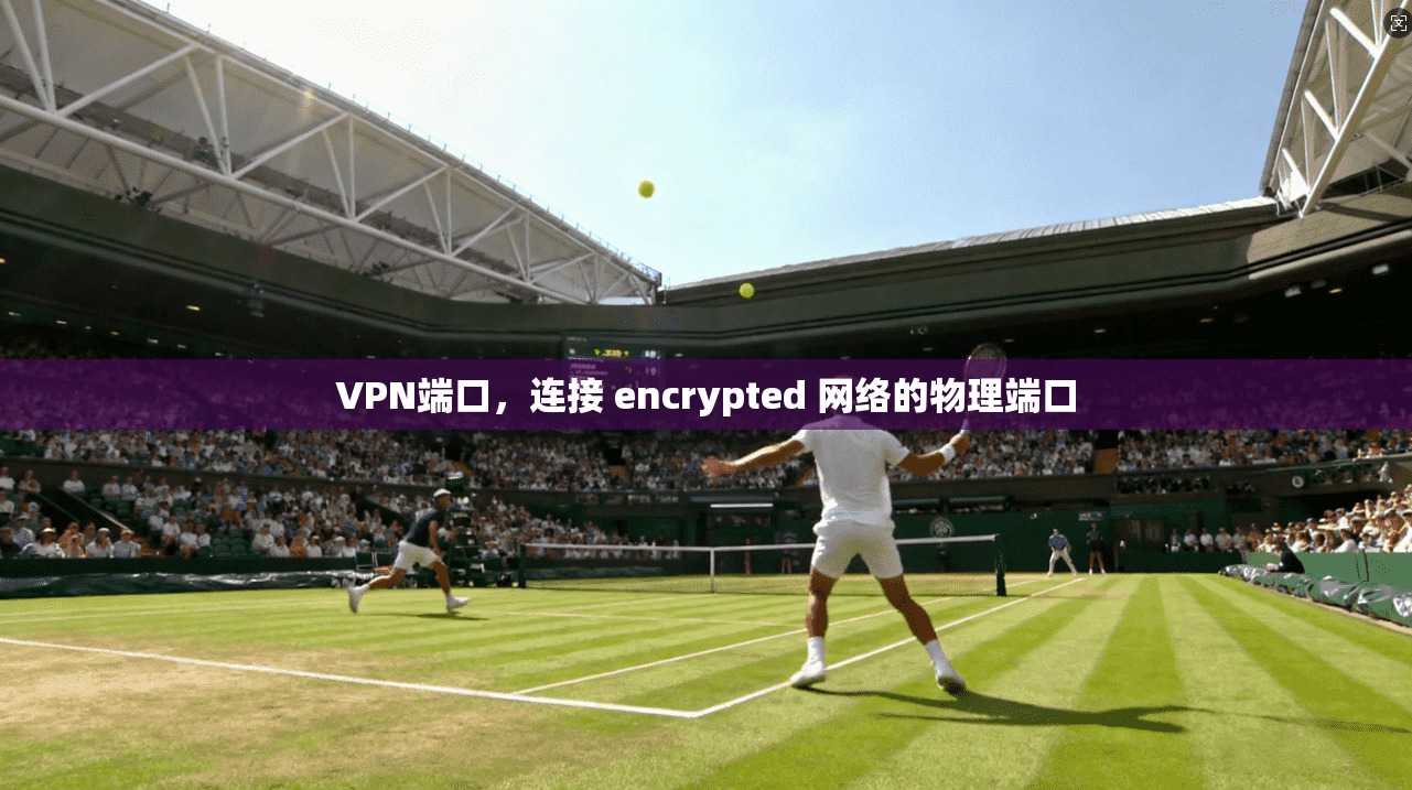 VPN端口，连接 encrypted 网络的物理端口