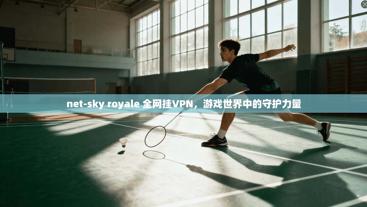 net-sky royale 全网挂VPN，游戏世界中的守护力量
