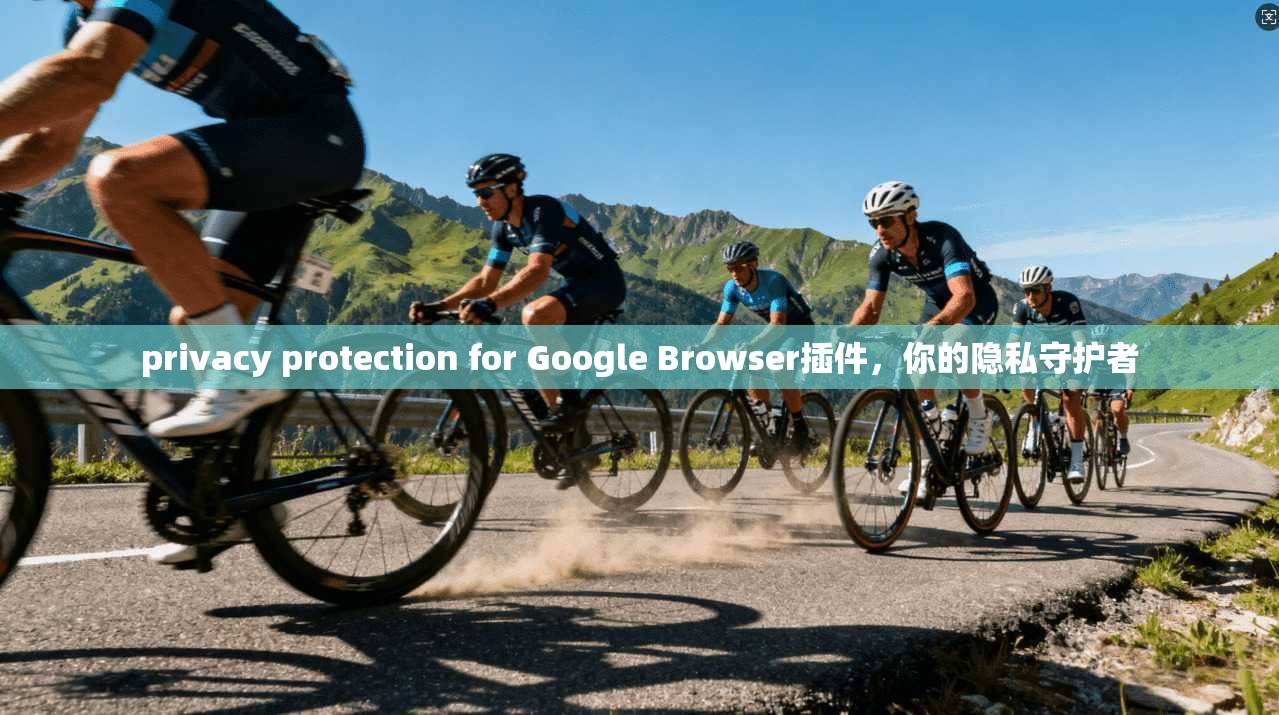 privacy protection for Google Browser插件，你的隐私守护者