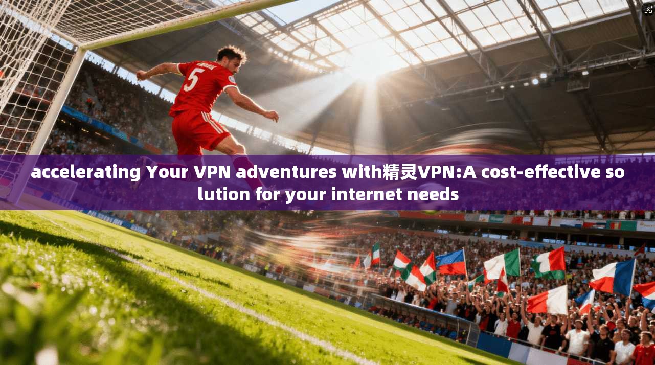accelerating Your VPN adventures with精灵VPN:A cost-effective solution for your internet needs