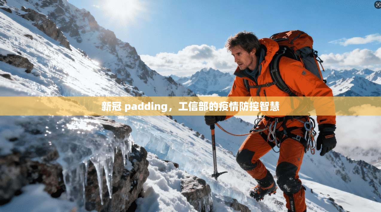 新冠 padding,工信部的疫情防控智慧