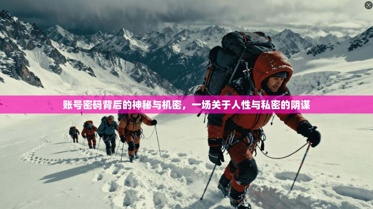 账号密码背后的神秘与机密,一场关于人性与私密的阴谋