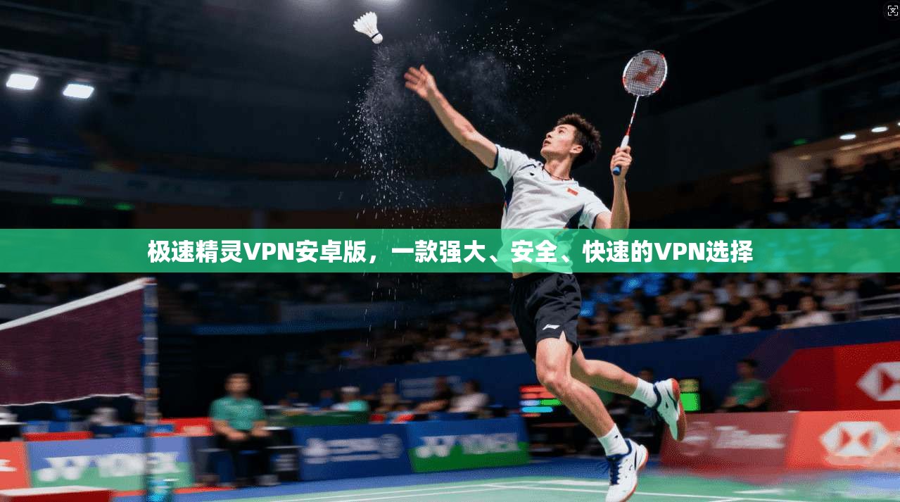 极速精灵VPN安卓版，一款强大、安全、快速的VPN选择