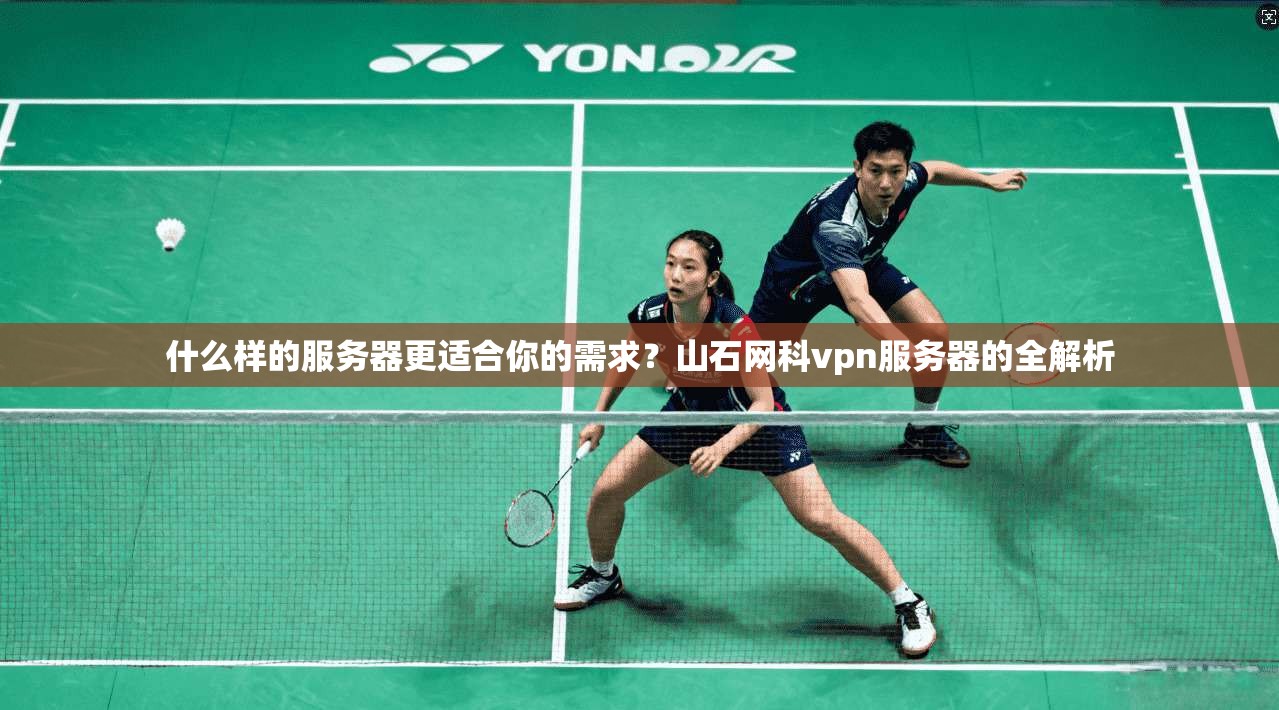 什么样的服务器更适合你的需求?山石网科vpn服务器的全解析
