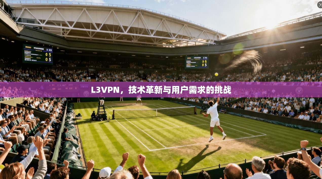 L3VPN,技术革新与用户需求的挑战