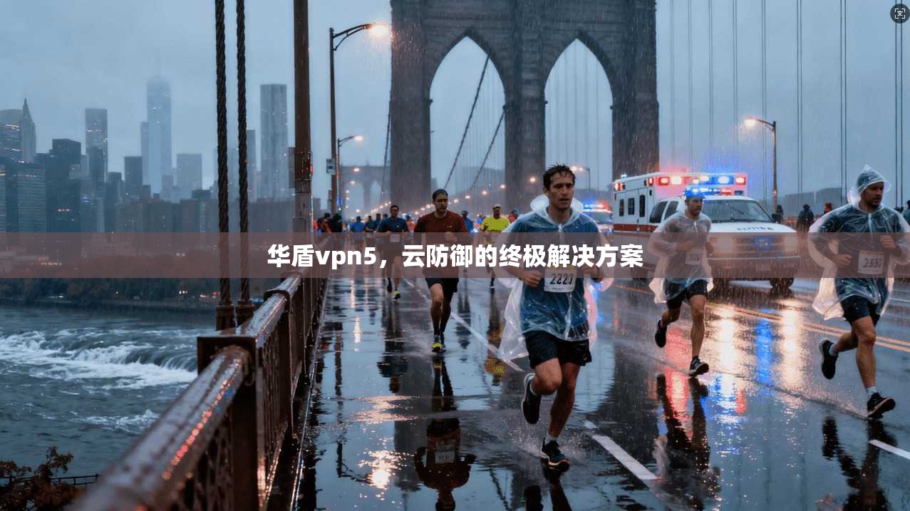 华盾vpn5,云防御的终极解决方案