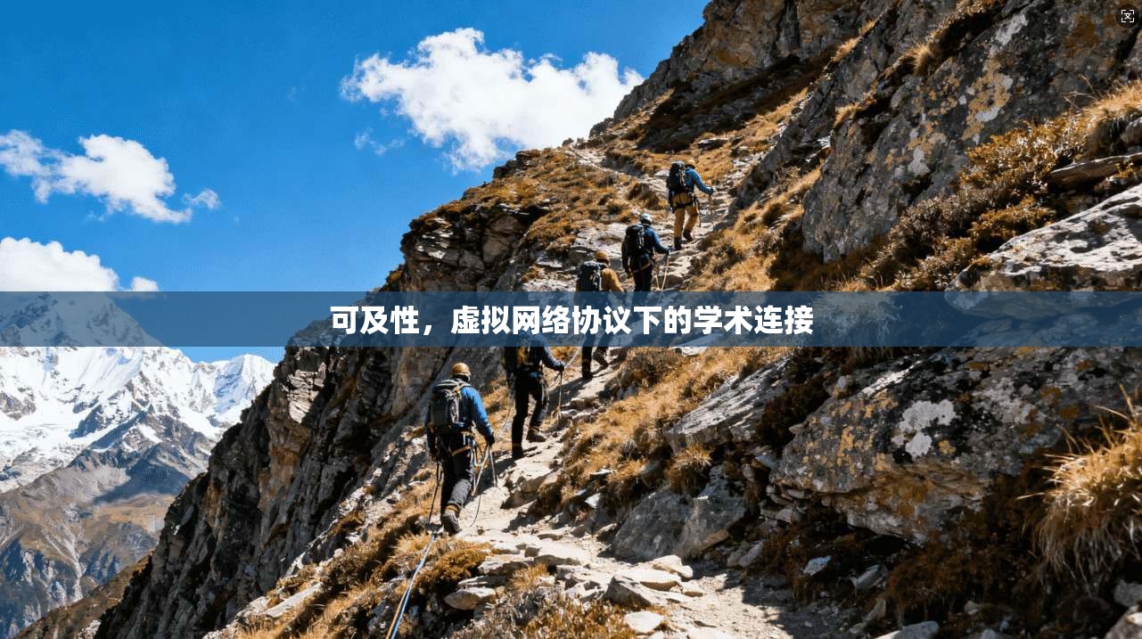 可及性，虚拟网络协议下的学术连接