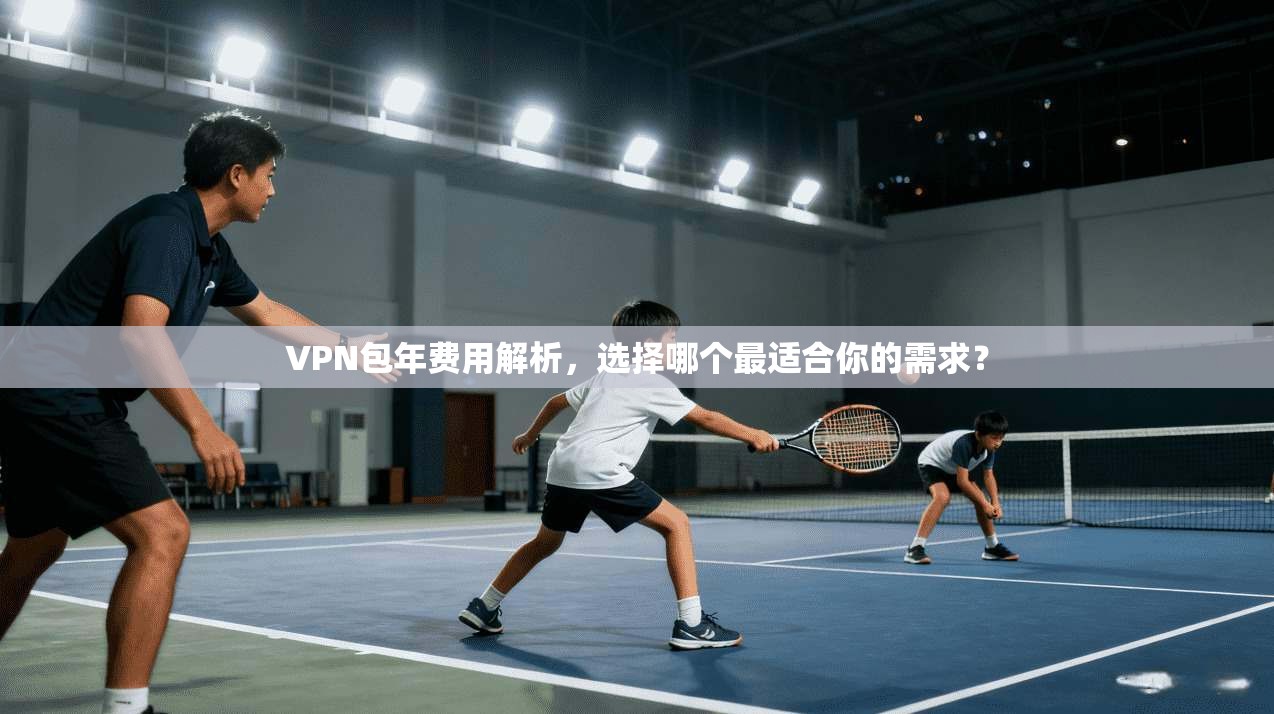 VPN包年费用解析,选择哪个最适合你的需求?