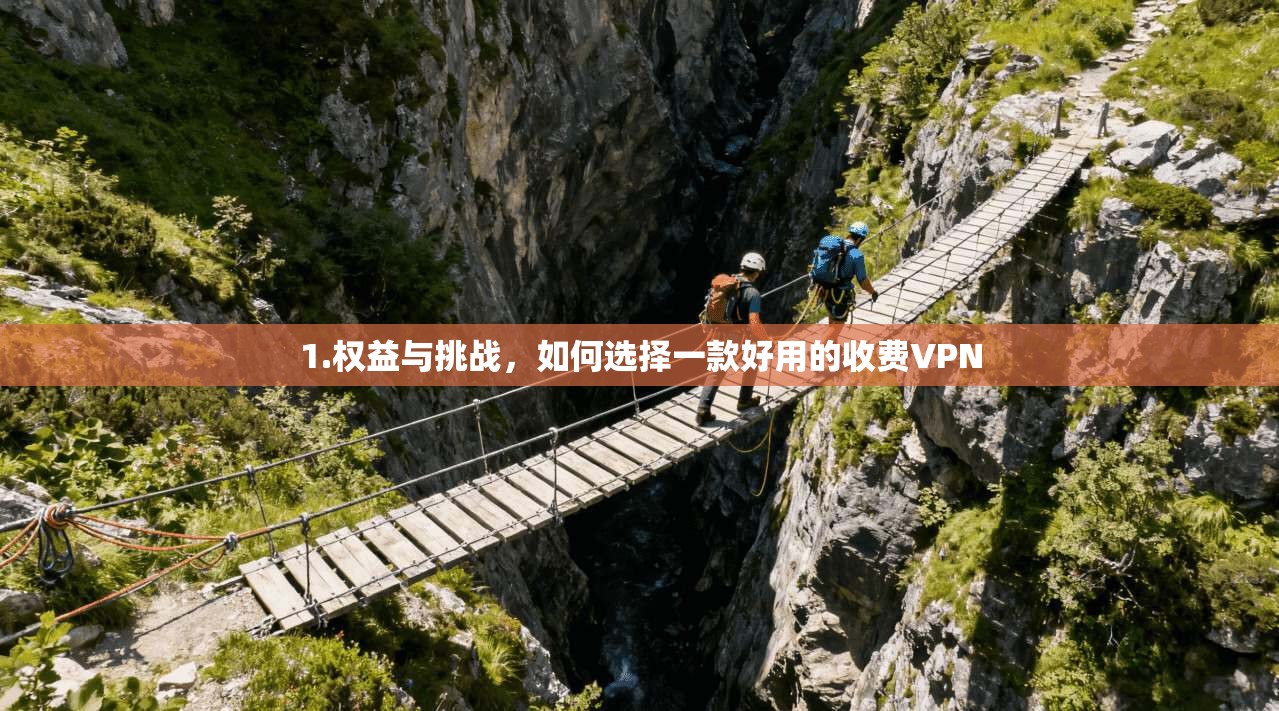 1.权益与挑战，如何选择一款好用的收费VPN