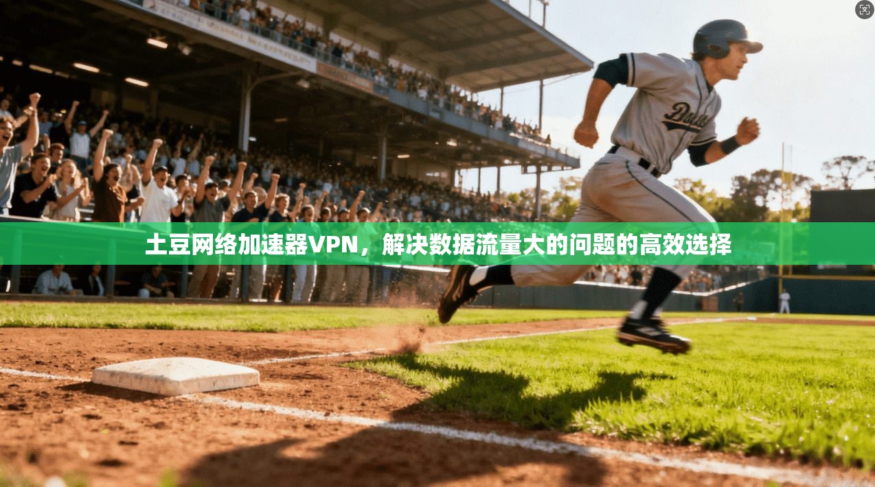 土豆网络加速器VPN,解决数据流量大的问题的高效选择