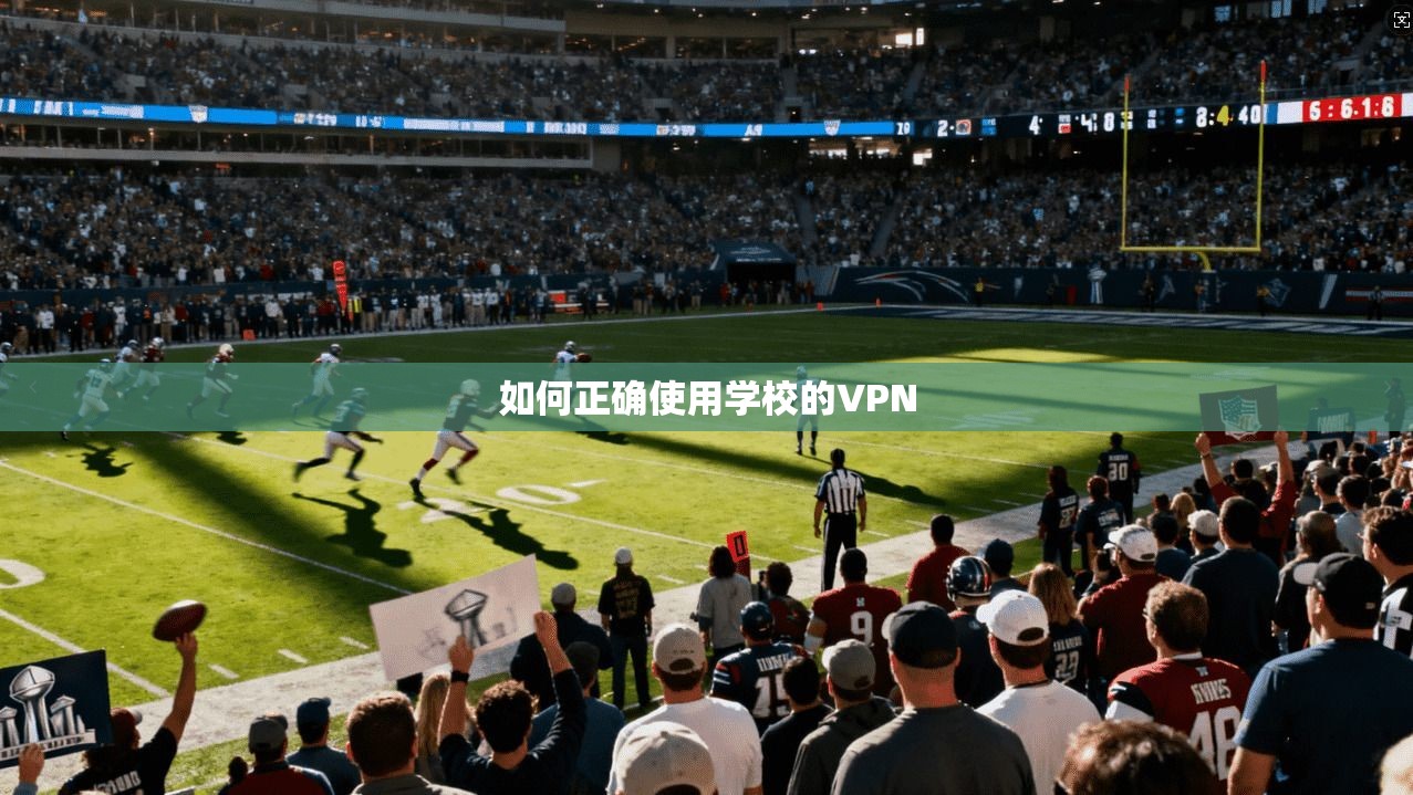 如何正确使用学校的VPN