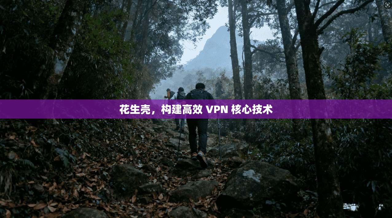 花生壳，构建高效 VPN 核心技术