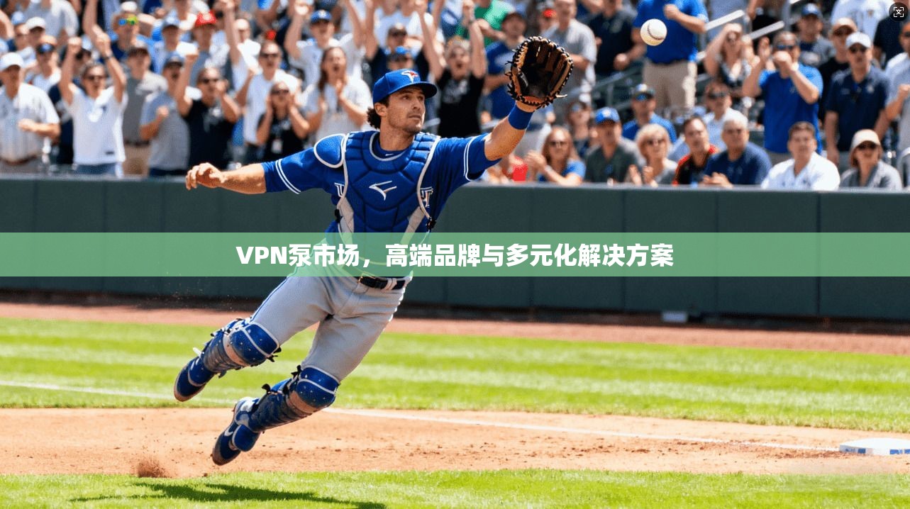 VPN泵市场，高端品牌与多元化解决方案