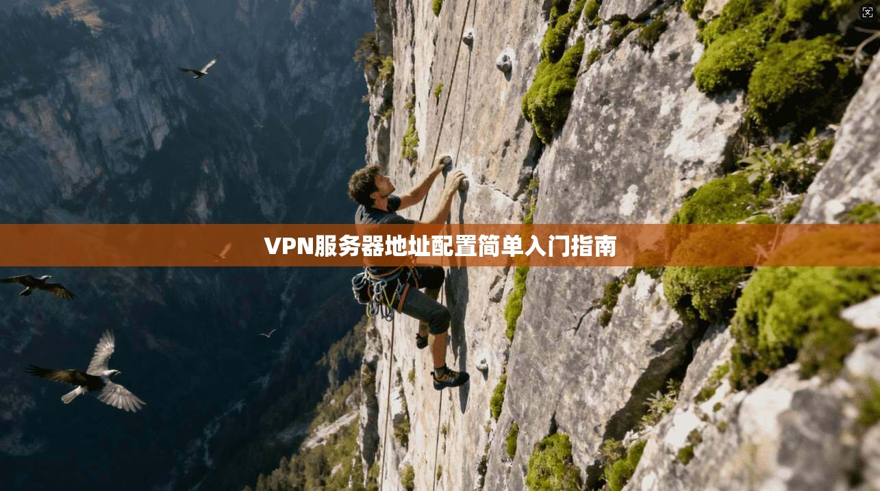 VPN服务器地址配置简单入门指南