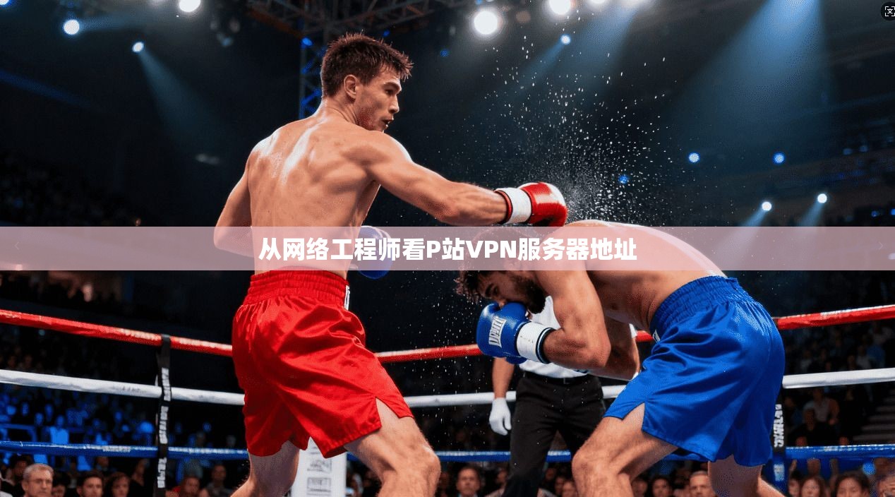从网络工程师看P站VPN服务器地址