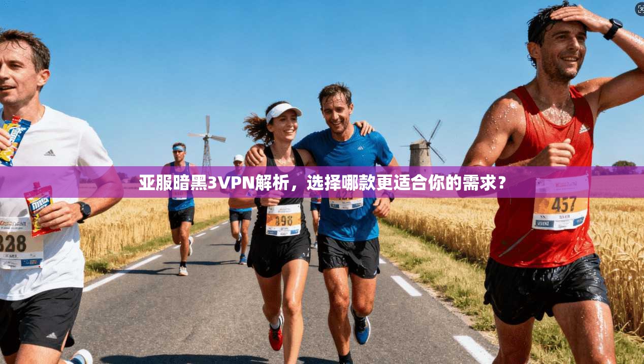 亚服暗黑3VPN解析,选择哪款更适合你的需求?