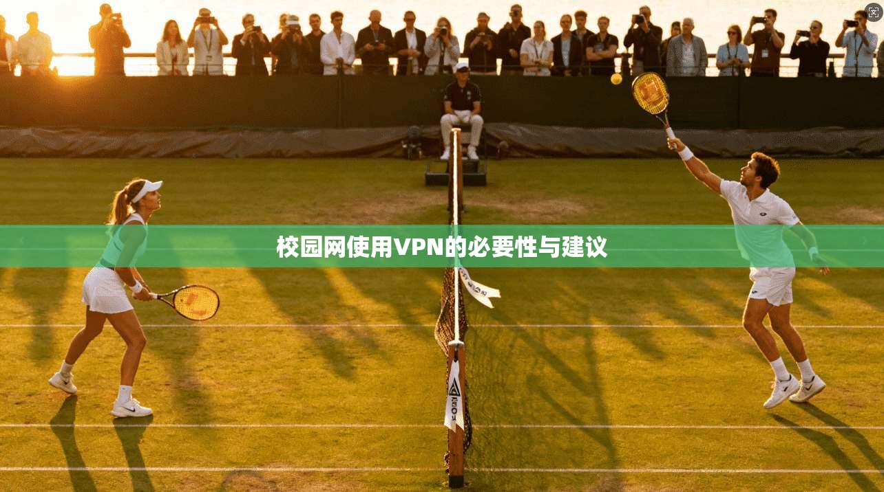 校园网使用VPN的必要性与建议