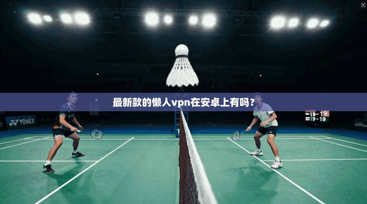 最新款的懒人vpn在安卓上有吗？