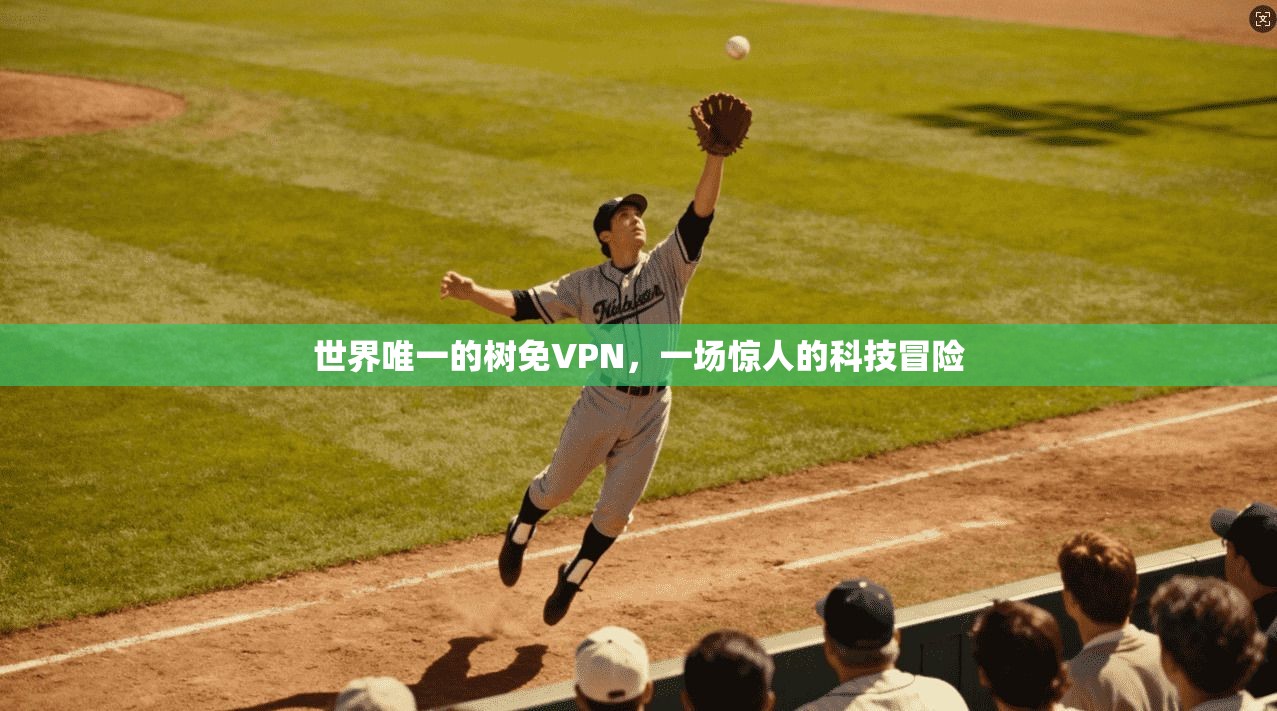 世界唯一的树免VPN，一场惊人的科技冒险