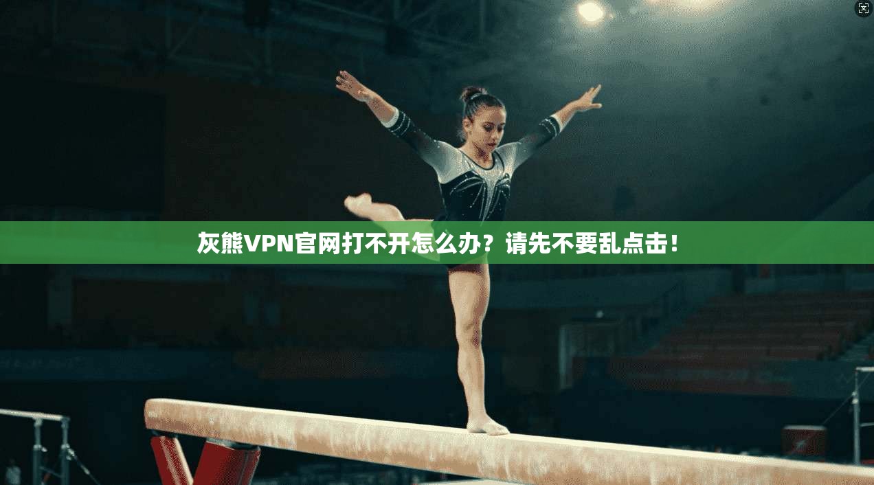 灰熊VPN官网打不开怎么办?请先不要乱点击!