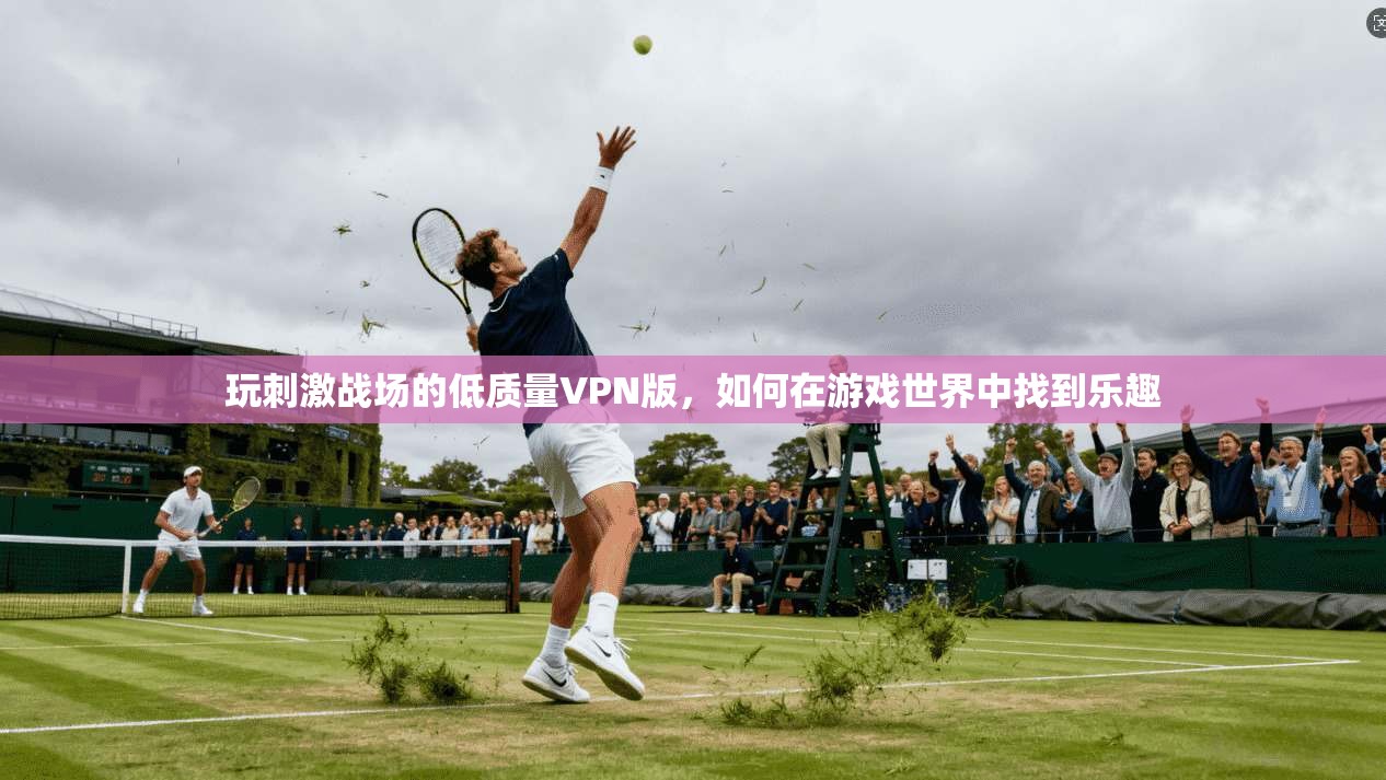 玩刺激战场的低质量VPN版，如何在游戏世界中找到乐趣