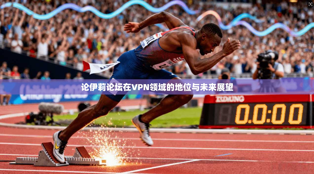 论伊莉论坛在VPN领域的地位与未来展望