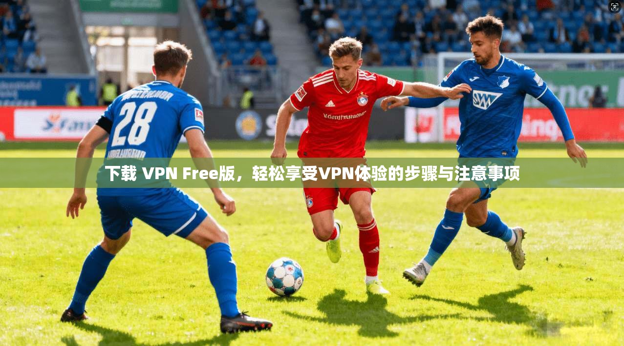 下载 VPN Free版,轻松享受VPN体验的步骤与注意事项