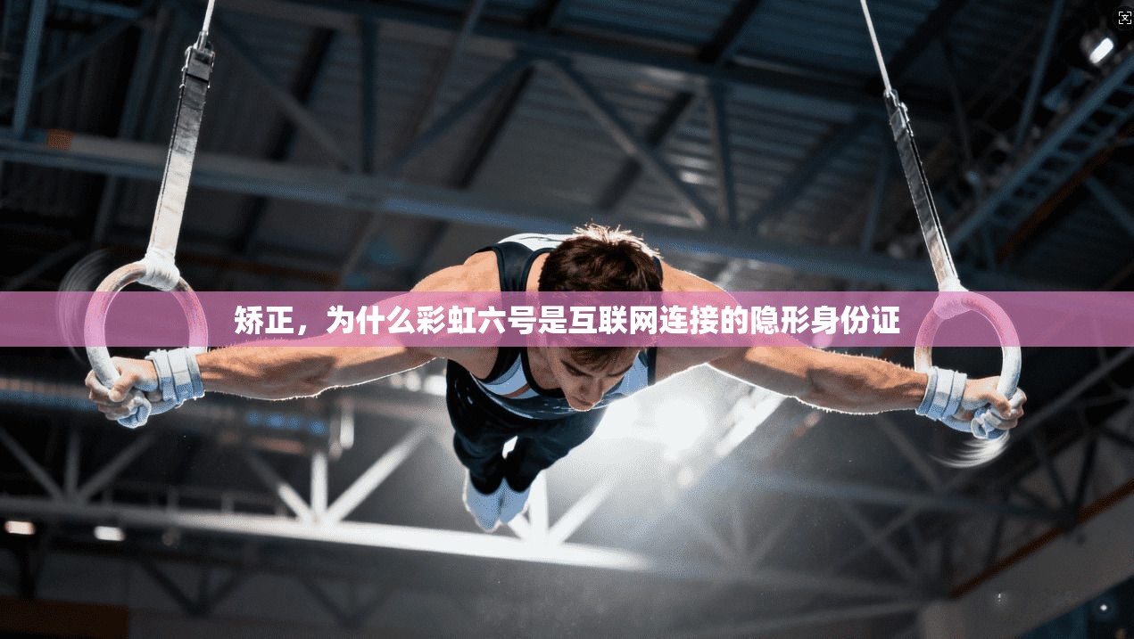 矫正，为什么彩虹六号是互联网连接的隐形身份证