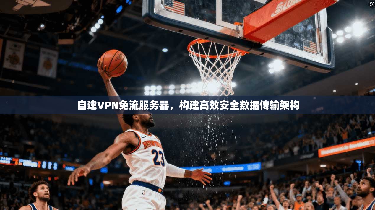 自建VPN免流服务器,构建高效安全数据传输架构