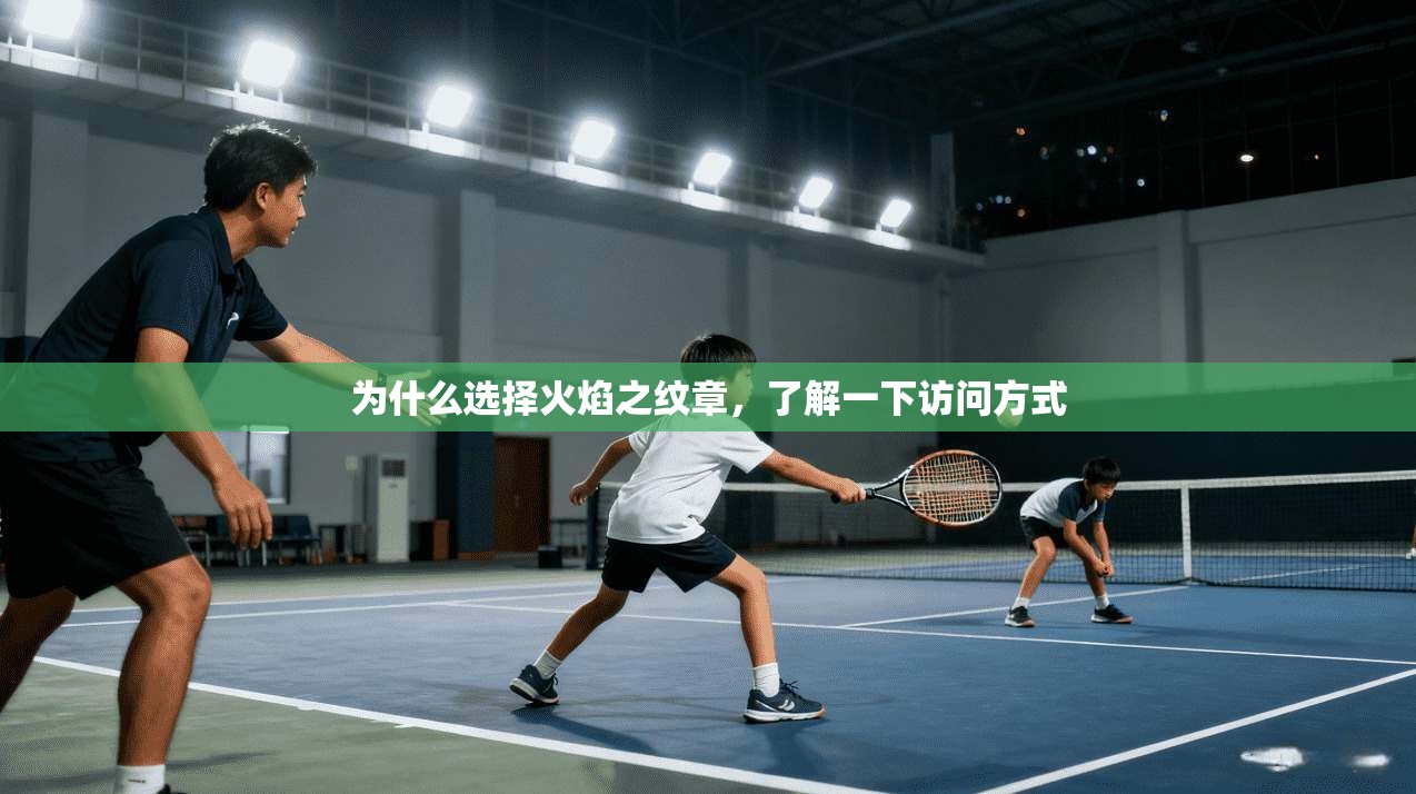 为什么选择火焰之纹章，了解一下访问方式