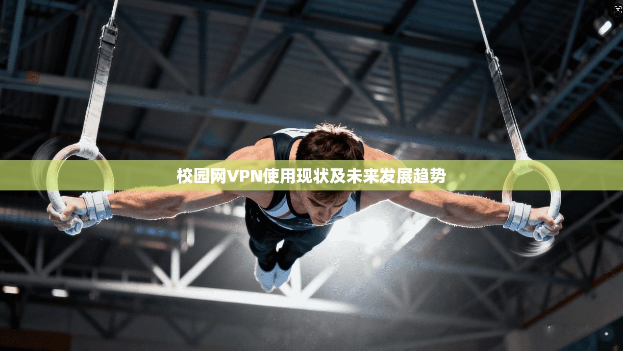 校园网VPN使用现状及未来发展趋势
